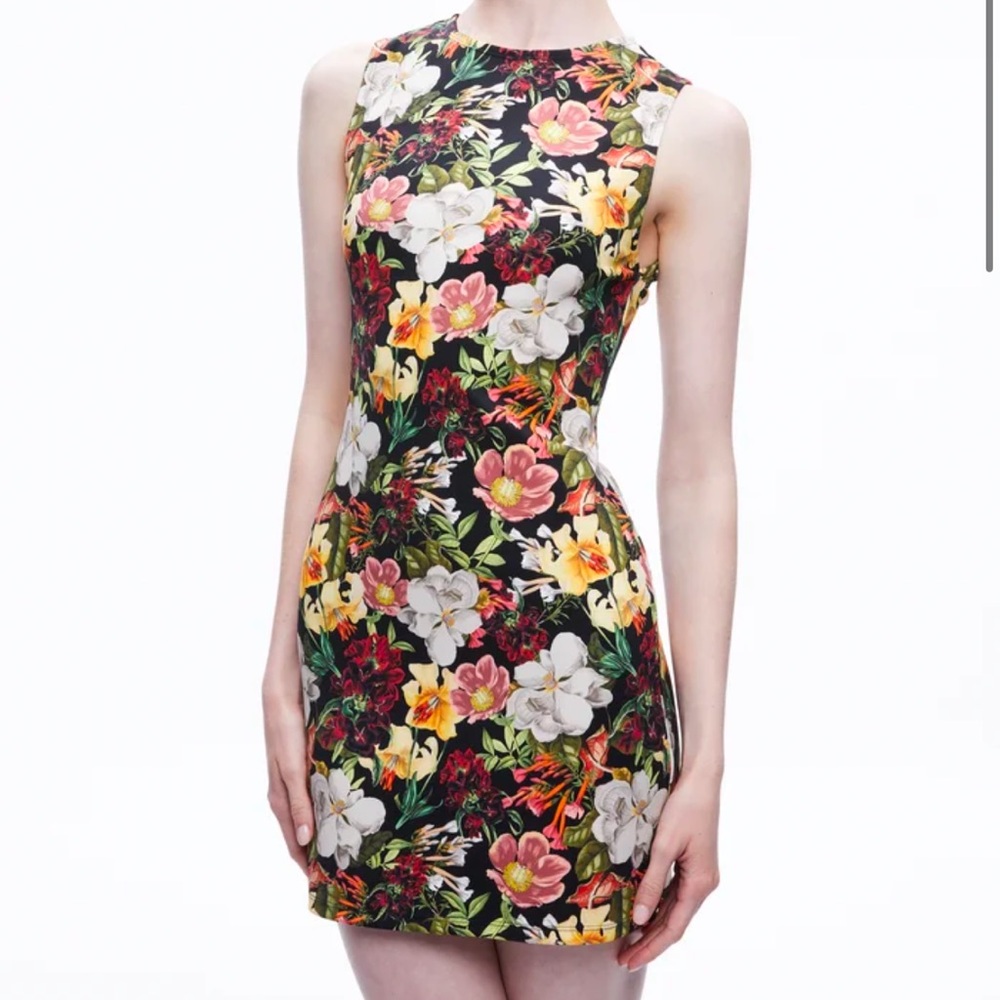 NWT Alice & Olivia WYNELL mini dress. Size 6